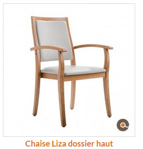 Chaise avec accoudoirs